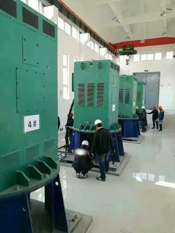 Y8007-10某污水处理厂使用我厂的立式高压电机安装现场